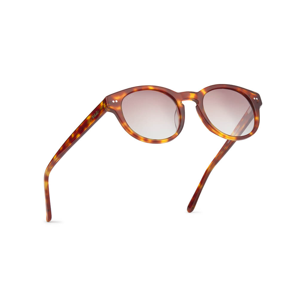 Gafas de sol madagascar